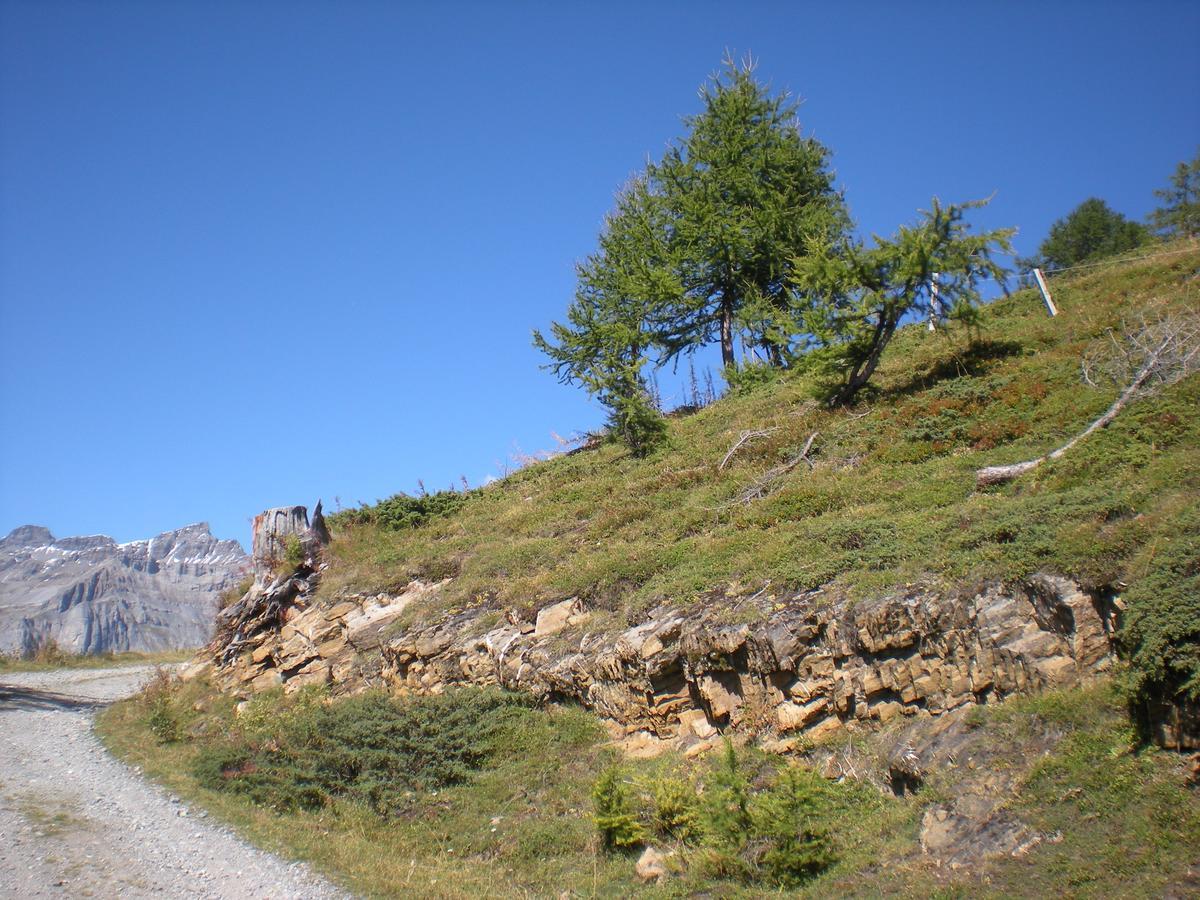Apartamento Appartementhaus La Promenade